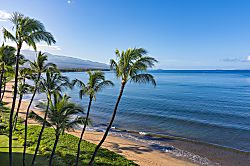 Island Surf 516