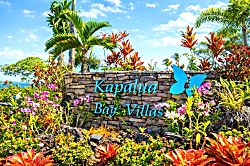 Kapalua Bay Villa KBV-26B1