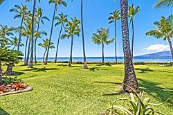 Oceanfront Oasis in Lahaina - Property grounds