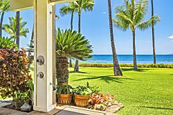 Oceanfront Oasis in Lahaina - Peaceful oceanfront view from a shaded patio, framed by tropical plants, potted flowers, a