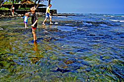 Beach Villas at Kahaluu "Surf and Swim" Condo