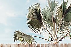 Ocean View Paradise Retreat