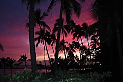 Island Breeze Oasis Villa