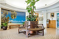 Little Paradise Waikiki 15th Floor Ocean View