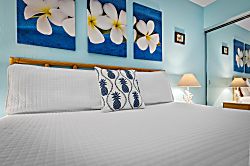 Kihei Surfside Resort 308