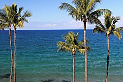 Royal Mauian #606