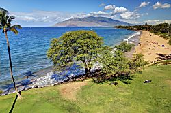 Royal Mauian #606
