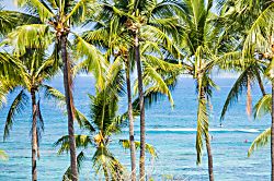 Kahaluu Beach Villas 1-203