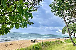 Kauai Kailani 1-Bedroom Studio