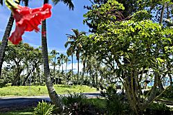 Garden and Ocean Views from Moana Imaku