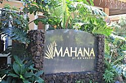 Mahana 607