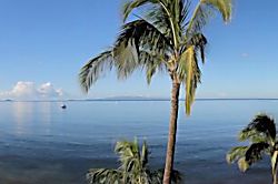 Sugar Beach Resort PH 14