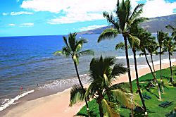 Sugar Beach Resort PH 14