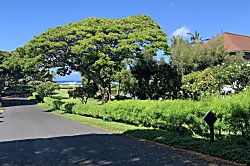 Kiahuna Plantation 114 (Building 18)