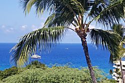 Kona Pacific Ocean View Penthouse