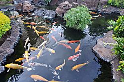 Beach Villas at Ko Olina Ocean Tower Villa