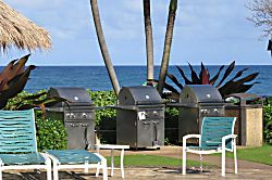 Islander on the Beach 351