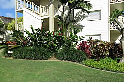 Islander on the Beach 351