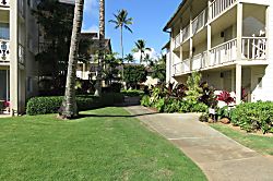 Islander on the Beach 351