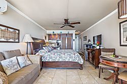 Islander on the Beach 351