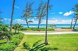 Islander on the Beach 245