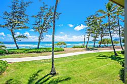 Islander on the Beach 245