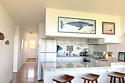 Puako Oceanview Retreat