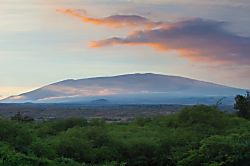 Puako Oceanview Retreat