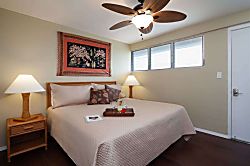 Puako Oceanview Retreat