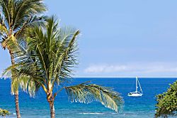 Puako Oceanview Retreat