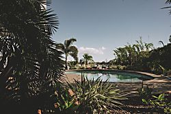 Kihei's Hidden Gem - Tropical vegetation surrounding the pool