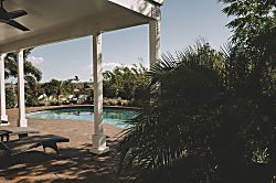 Kihei's Hidden Gem - Backyard and pool