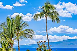 Wailea Grand Champions 58