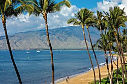 Kihei Beach Fourth Floor Condo - Beach