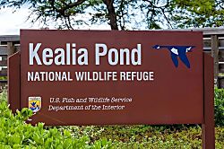 Kihei Beachfront Oasis