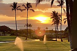 Wailea Ekolu 1508