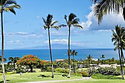 Wailea Ekolu 1508