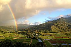 Islander on the Beach 115