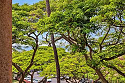 Maui Vista Condo Top Floor Unit