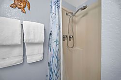 Maui Vista Condo Top Floor Unit