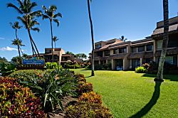 Kamaole Beach Club C108