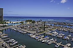 Ilikai Marina 15th Floor