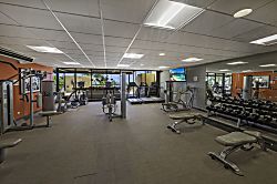 Waikiki Beach Tower Condo