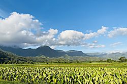 Hale Honu O Hanalei Townhome