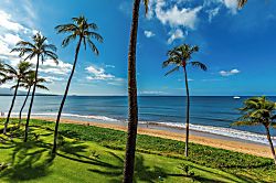 Sugar Beach Resort PH8