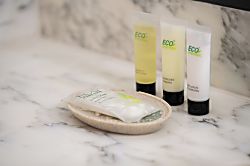 Ala Moana Condo 29th Floor Studio