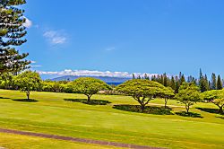 The Wave at Kapalua 16T-2