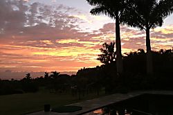 Paradise on Park-Like Estate