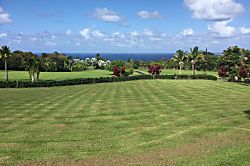 Paradise on Park-Like Estate