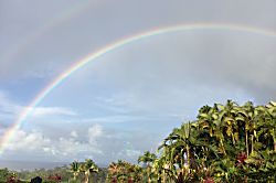 Paradise on Park-Like Estate